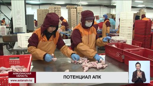 Мясо, яйцо и полуфабрикаты из Акмолинской области экспортируют в Россию, Кыргызстан, Афганистан и Таджикистан