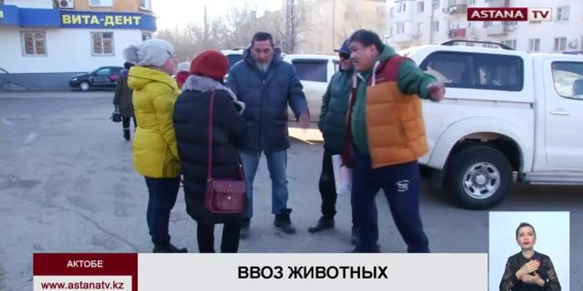 В Казахстане пока  не планируют снимать запрет на ввоз КРС из карантинных регионов России