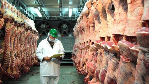 Российские заводы перестали закупать казахстанское мясо: поставщики несут убытки