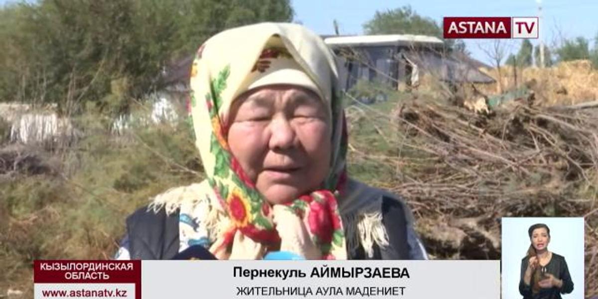 Ветераны Кызылординской области проходят полное медицинское обследование