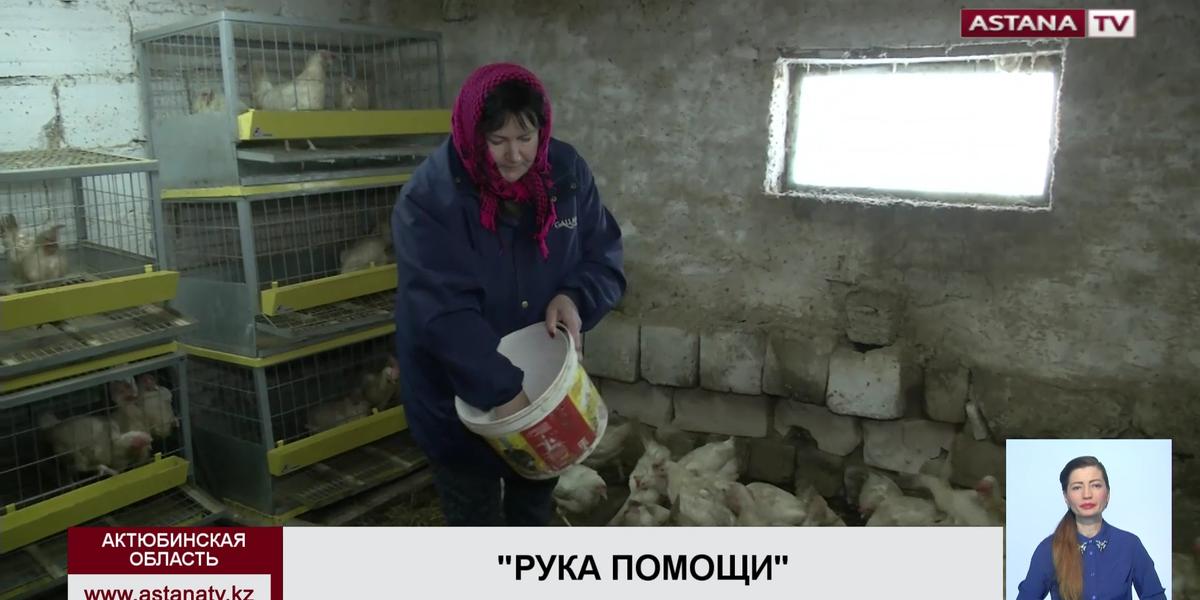 Жительница Актюбинской области бесплатно раздает малоимущим односельчанам яйца