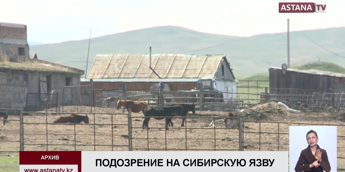С подозрением на сибирскую язву госпитализирован житель села ВКО