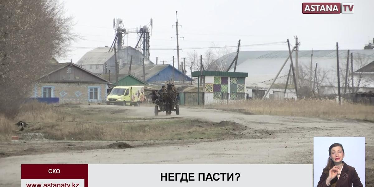 Жители с. Ленинское СКО остались без пастбища