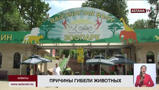 Несколько сотрудников зоопарка Алматы уволены после гибели 6 животных