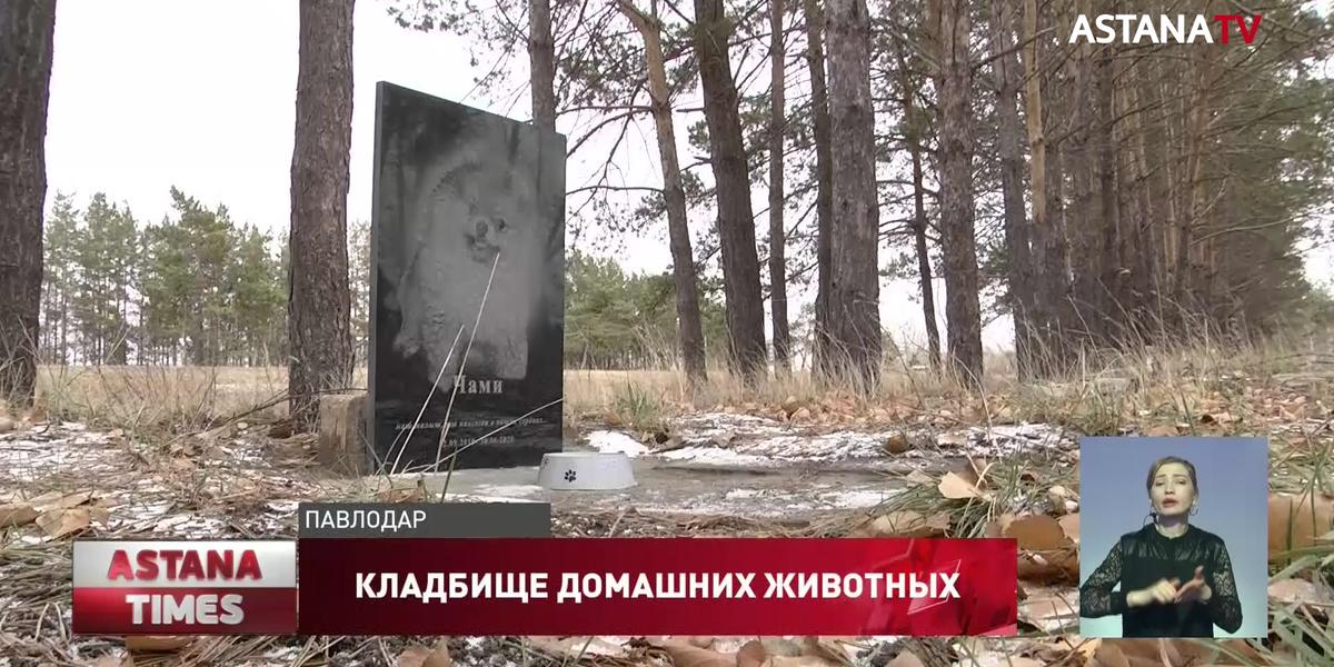 Незаконное кладбище домашних животных обнаружили в Павлодаре