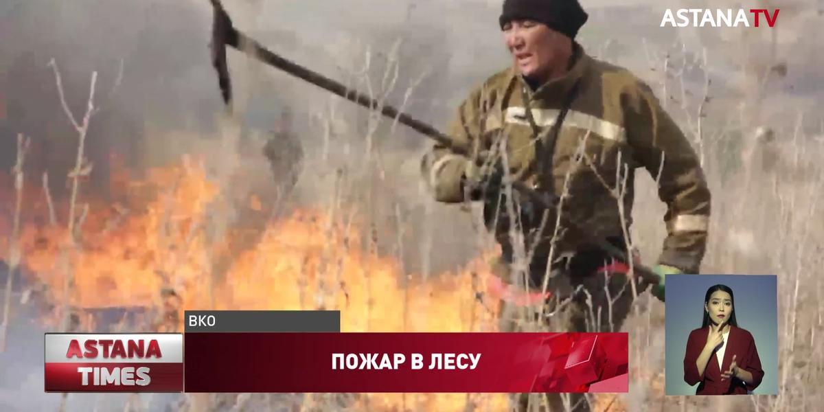 В Восточном Казахстане горит реликтовый ленточный бор