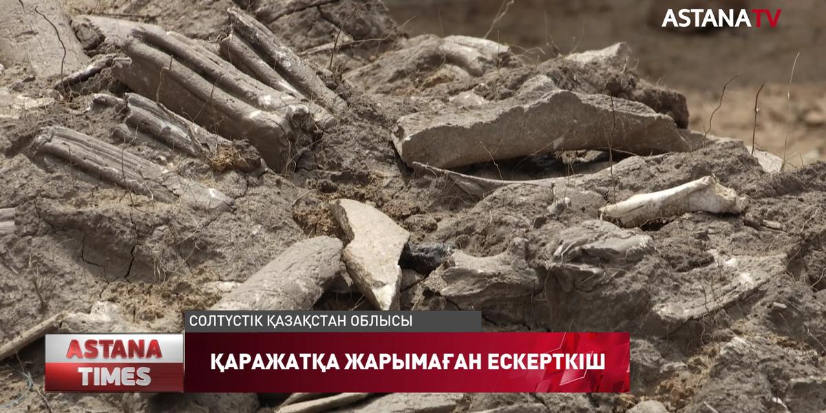Солтүстік Қазақстанда 40 жыл бұрын ашылған Ботай қонысы инвестицияға жарымай отыр