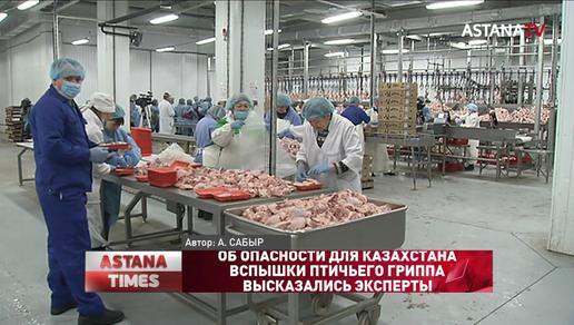Об опасности для Казахстана вспышки птичьего гриппа высказались эксперты
