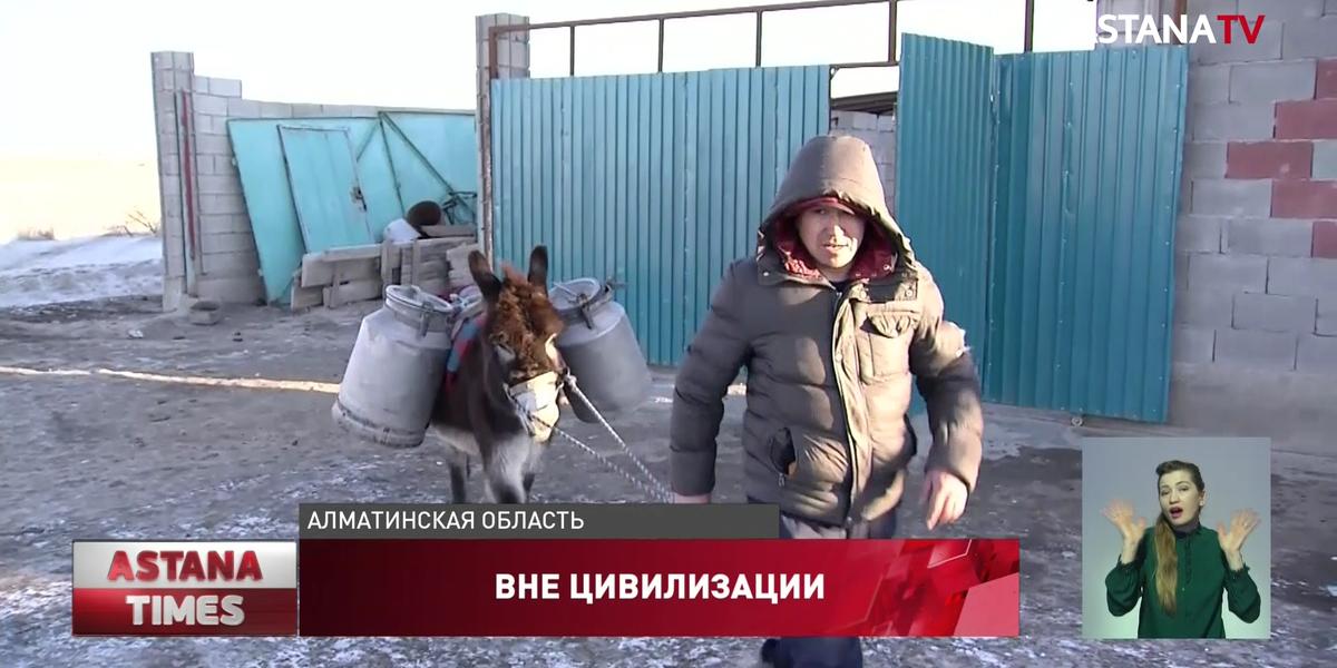 Воду на ишаках вынуждены возить жители микрорайона в Алматинской области
