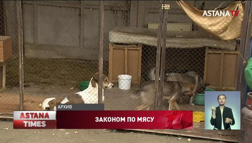 "Это – всё равно, что сказать казаху перестать есть баранину", - Ассоциация о запрете есть мясо собаки