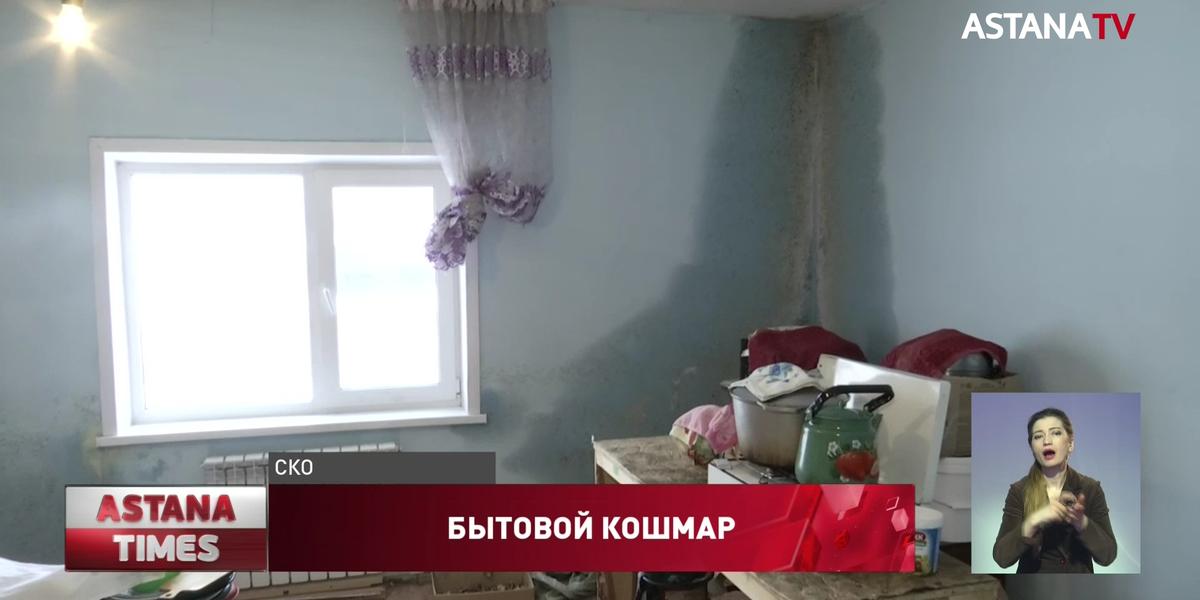 "На стенах плесень, полы ледяные": переселенцы в Северном Казахстане замерзают в новых домах
