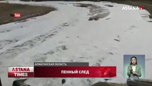 Грязно-зеленой пеной с едким запахом покрылась одна из рек в Алматинской области