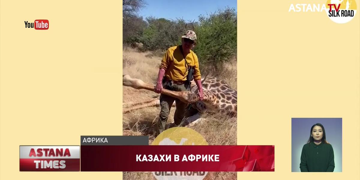 "Для них это отдых", - экологи о казахстанцах, убивающих диких животных в Африке