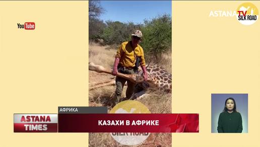 "Для них это отдых", - экологи о казахстанцах, убивающих диких животных в Африке