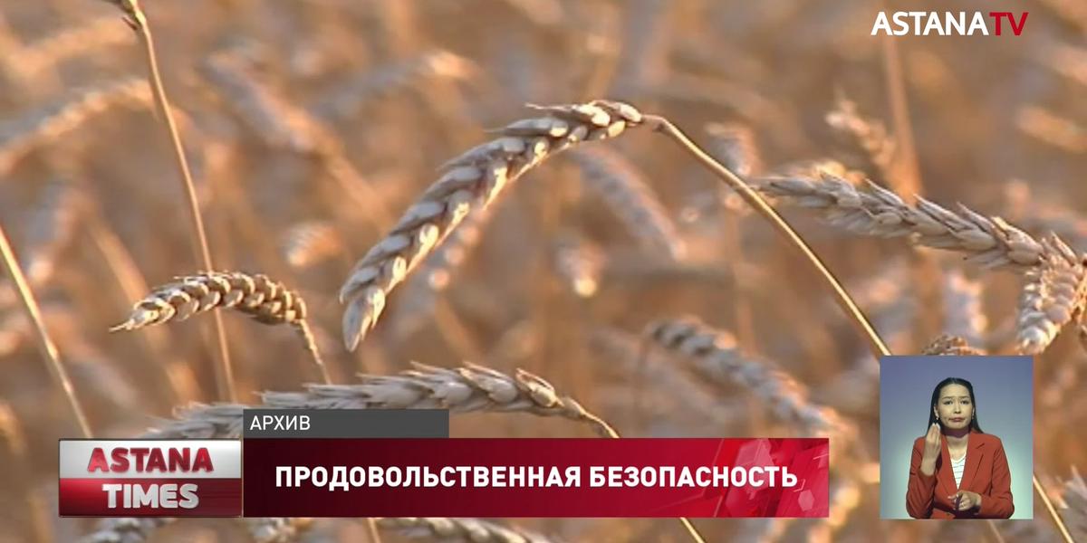 Казахстан теряет свою продовольственную независимость, – сенатор