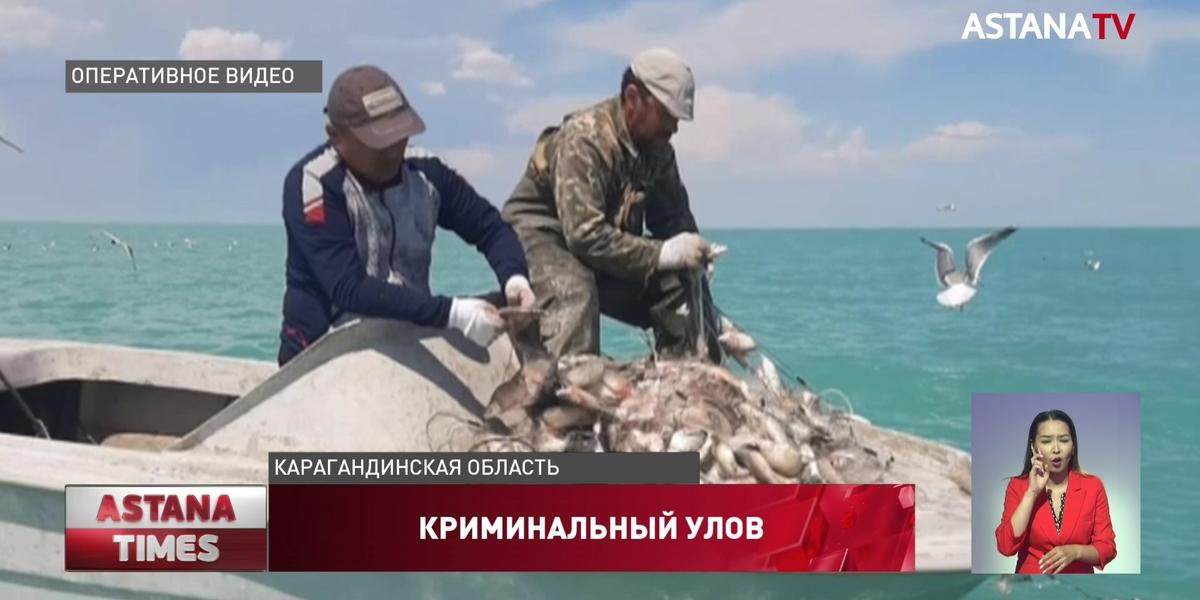 Браконьеров с 6 тоннами рыбы обнаружили в Балхаше
