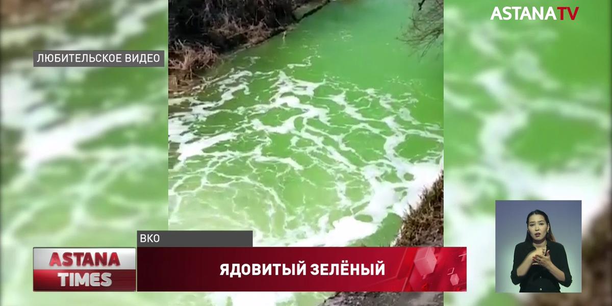 Зелёная река напугала жителей ВКО