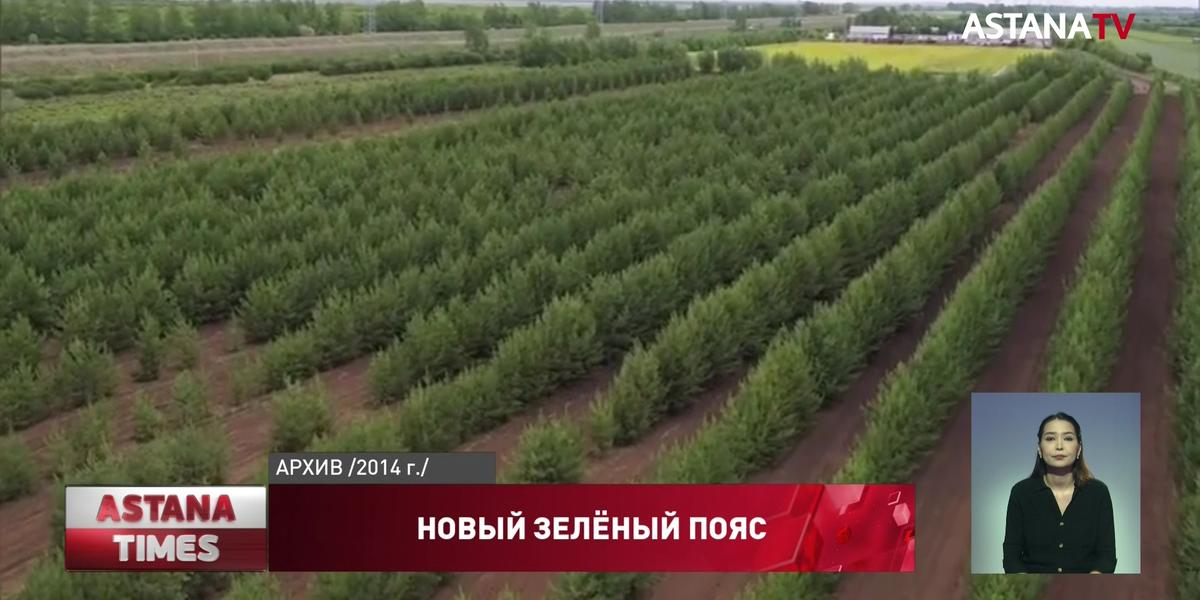 50 миллионов деревьев высадят в Карагандинской области