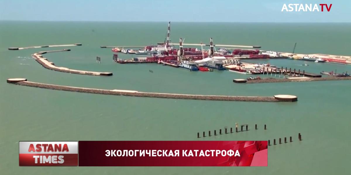 Экологическая катастрофа, грозящая Каспийскому морю, неизбежна, - экологи
