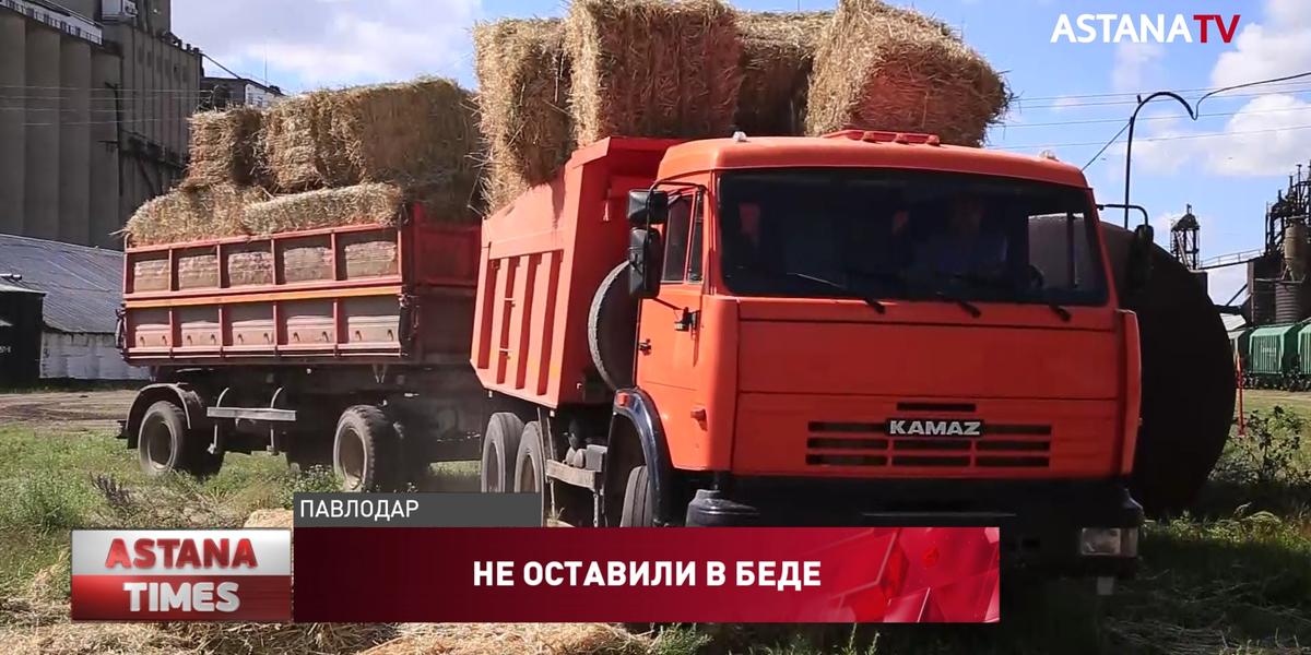 Павлодарские аграрии отправили 250 тонн сена в Мангистаускую область