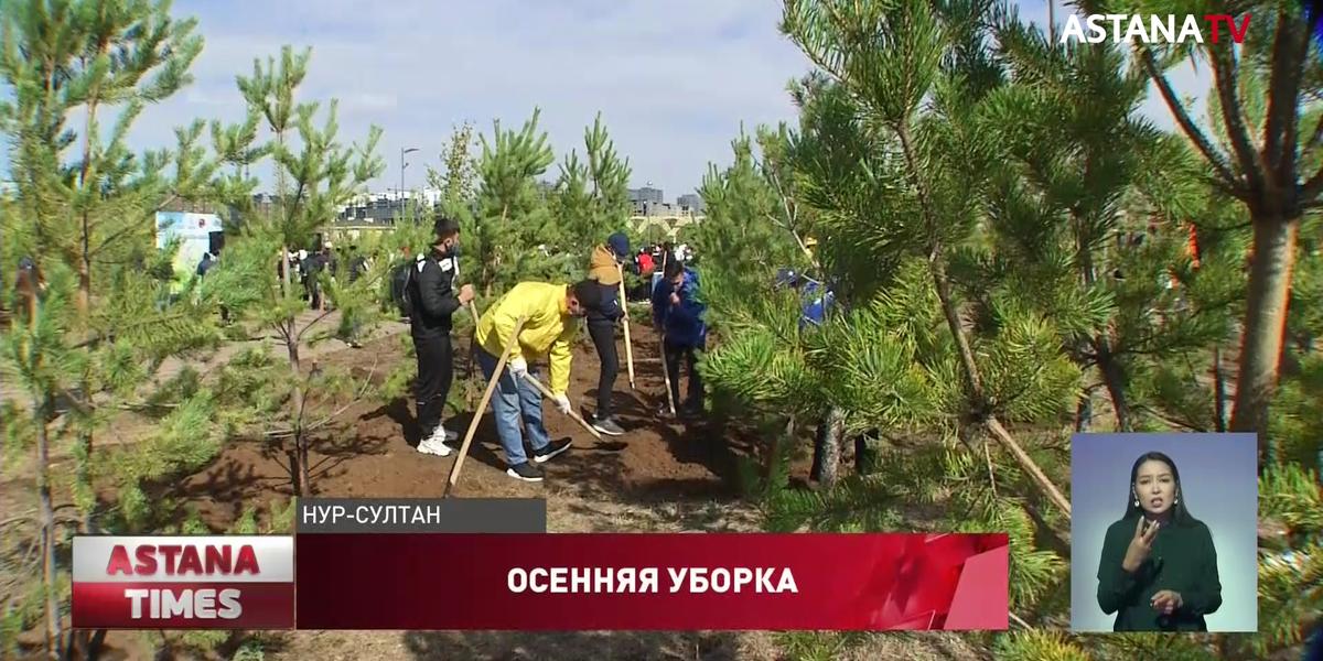 В День чистоты в столице высадили три тысячи молодых деревьев