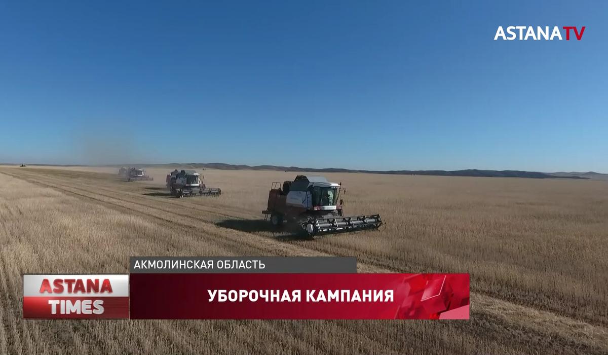 50 импортных сортов зерна проходят испытания на полях Акмолинской области