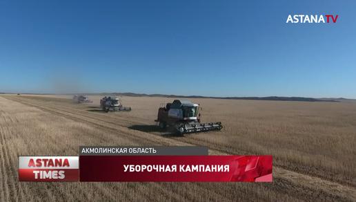 50 импортных сортов зерна проходят испытания на полях Акмолинской области