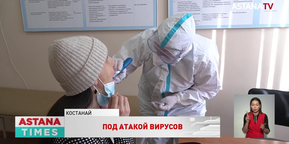 Свиной грипп и коронавирус распространяются в Казахстане
