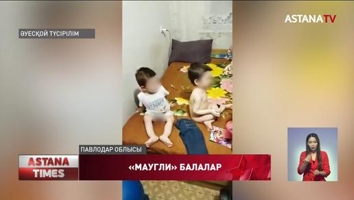 Павлодар облысында "Маугли-балаларға" қатысты жаңа деректер пайда болды