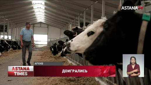В Казахстане нехватка ветеринаров: Минсельхоз бьет тревогу