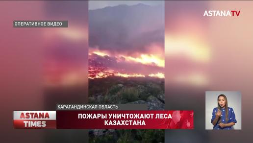 Природные пожары обрушились на Карагандинскую область