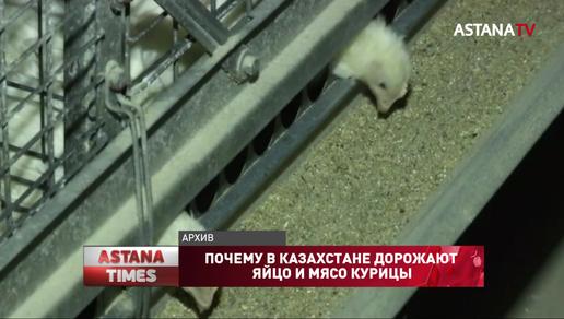 Подорожали на треть: почему в Казахстане растут цены на яйцо и мясо курицы