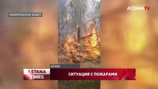 Половина пожаров в Казахстане происходят из-за человека