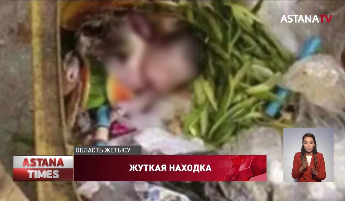Тело новорождённого нашли в мусорном баке в Талдыкоргане
