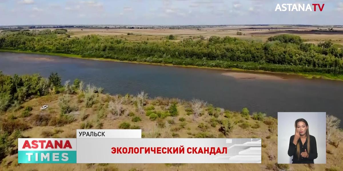 Скандал разгорелся вокруг вырубки леса в пойме Урала