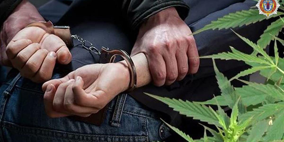 Задержана преступная группа, поставлявшая наркотики в столицу