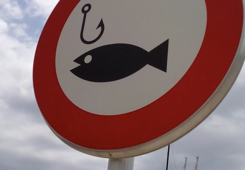 Абайским рыбакам запретили ловить рыбу - Телеканал «Астана»