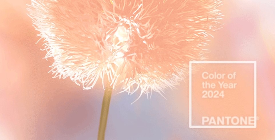 Цвет года 2024 персиковый пух. Цвет года 2024 персиковый пух. Цвет года 2024 персиковый пух. Цвет года 2024 персиковый пух. Цвет года 2024 персиковый пух.