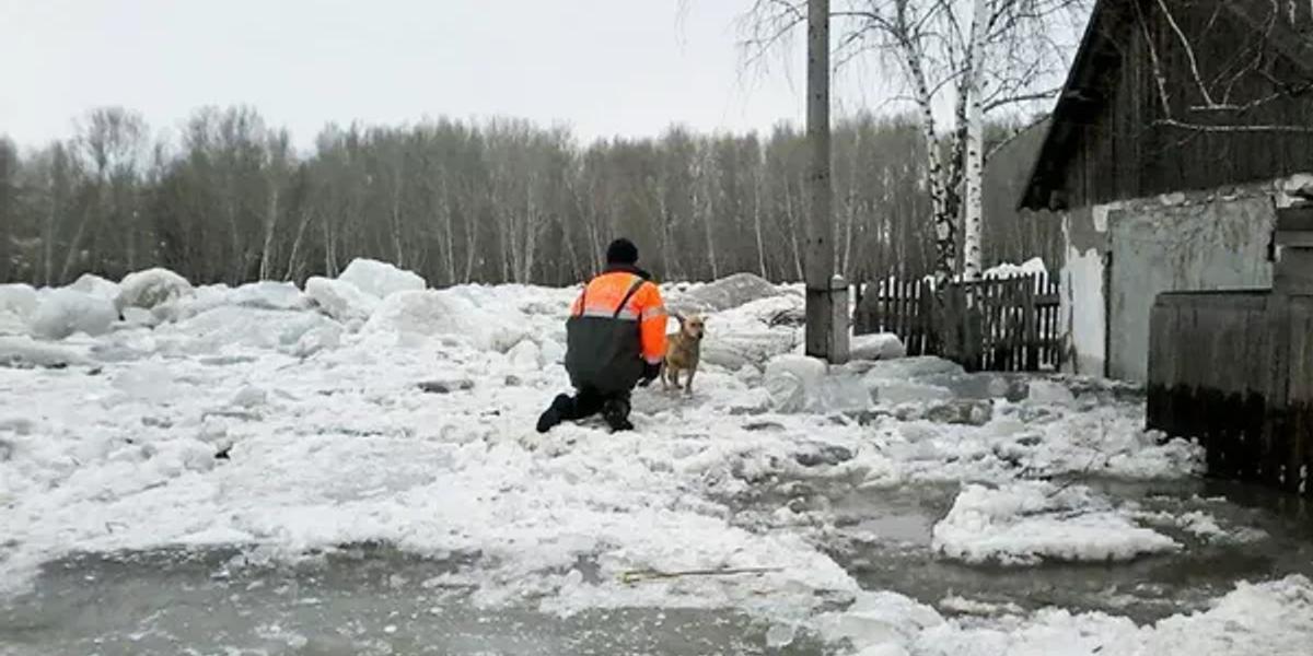Восточный Казахстан начал активно готовиться к паводкам