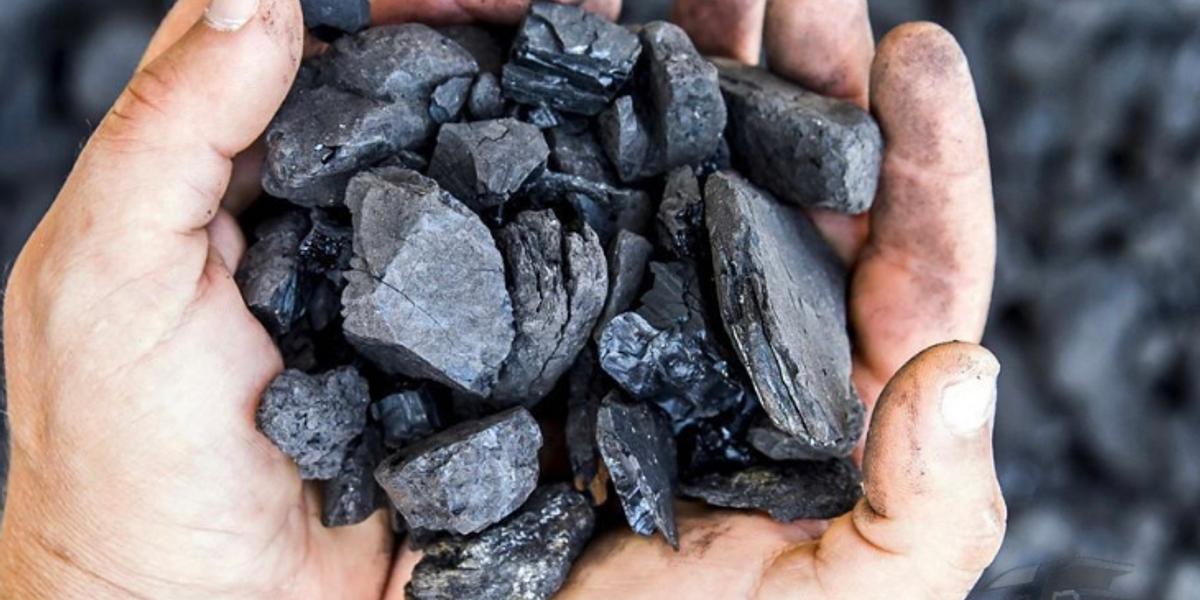 Уголь по 10 тысяч за килограмм хотели закупить чиновники от здравоохранения СКО