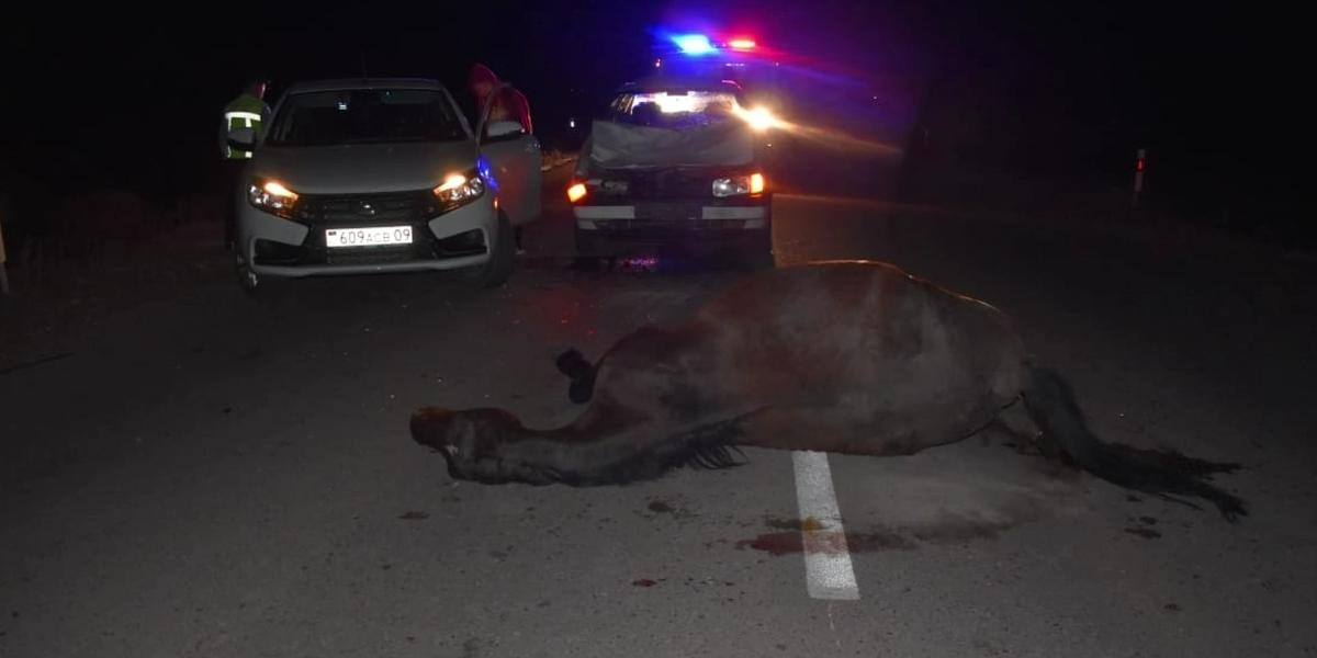 Карагандинец разбил авто в аварии с «давно съеденной» лошадью