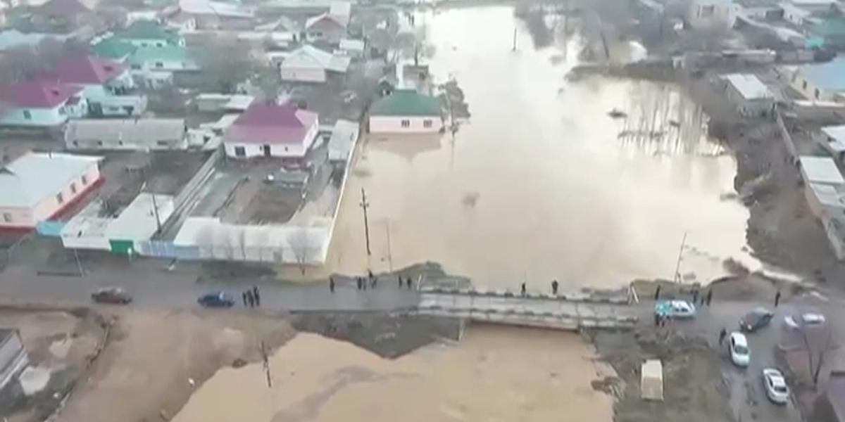 Паводки в Туркестанской области: погиб скот, затоплены дома и сараи
