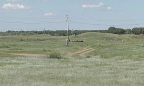 400 тысяч гектаров неиспользуемых земель вернули в Павлодарской области