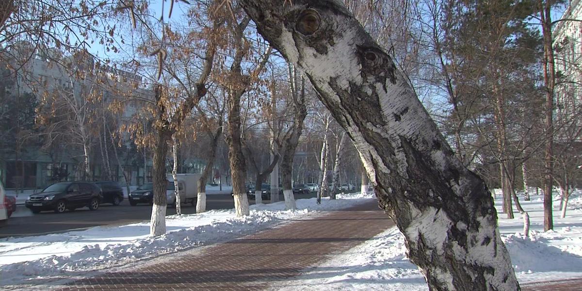 Затяжную зиму обещают синоптики в Казахстане