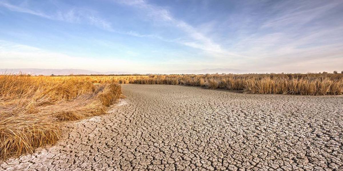 Паводковые воды предлагают использовать в борьбе с засухами