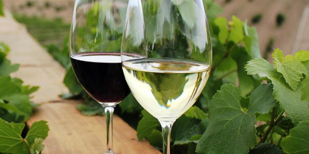 Казахстанцы стали пить больше вина