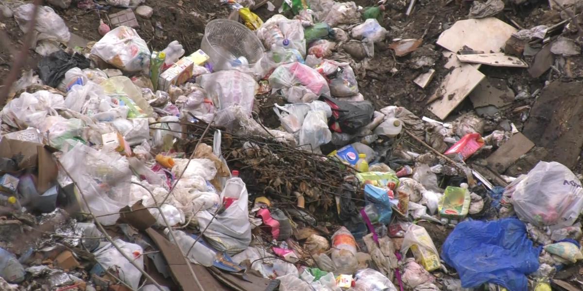 В мусорную свалку превращается поселок в Алматинской области