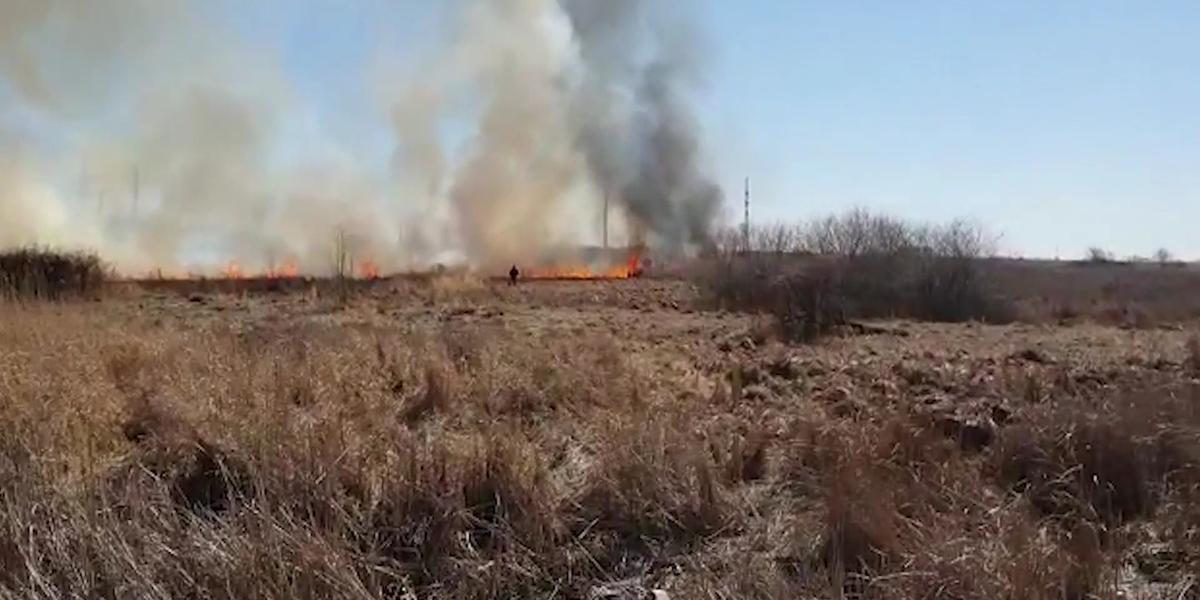 Почти сутки пытаются потушить пожар в окрестностях Павлодара