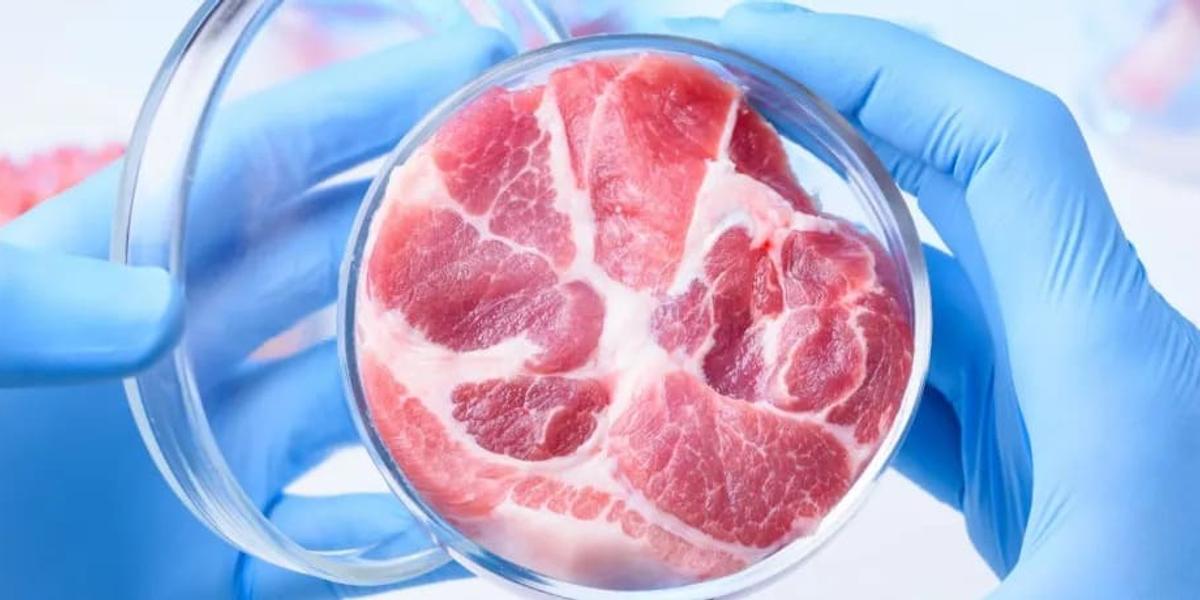 Искусственное мясо запретят в Италии