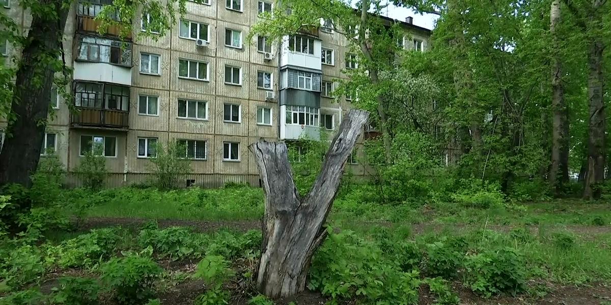 «В кустах ищите своего сотрудника»: владельца полицейского кителя разыскивают в Петропавловске
